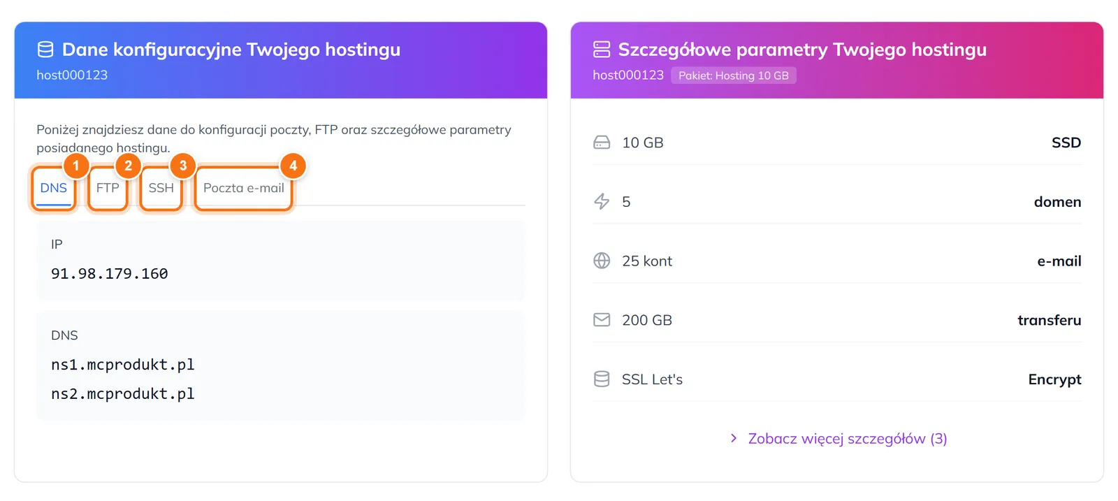 Strona zarządzania hostingiem z kartą Dane konfiguracyjne i zakładkami DNS, FTP, SSH, Poczta e-mail oraz kartą parametrów pakietu